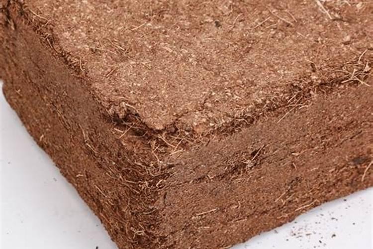 烂桃子水能浇什么花