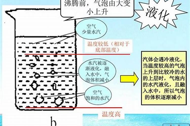 葡萄用什么肥料好
