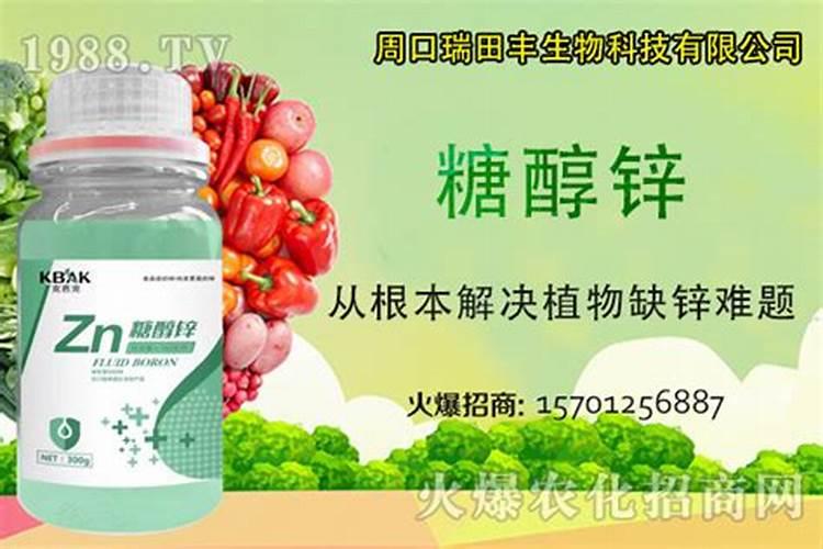 白瓜遇冰雹用什么生长素缓解