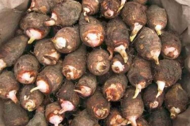 辽宁快马科技有限公司怎么样？