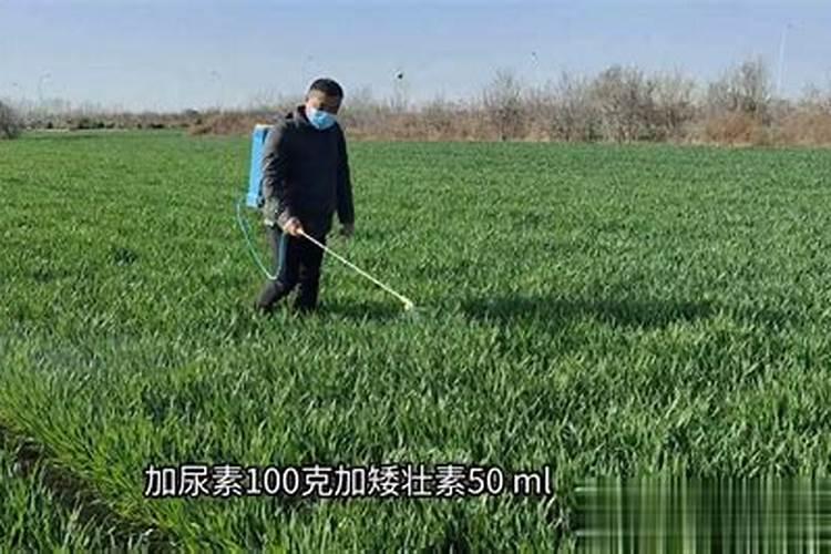 矿源腐植酸钾能和杀菌剂混用吗？