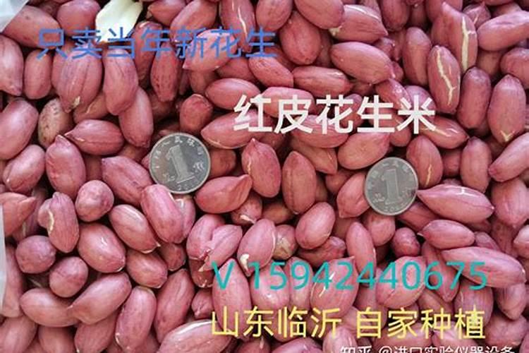 花生米能当花肥用吗