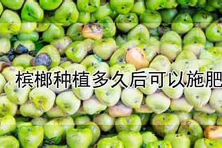 铵态氮肥特点及作用