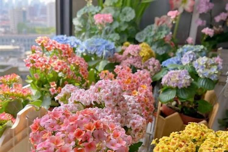 西北地区旱情持续!政府组织开打抗旱机井,保障田间灌溉水源!