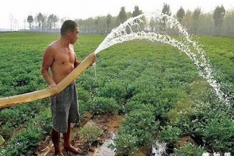 天气干旱可以喷叶面肥吗？