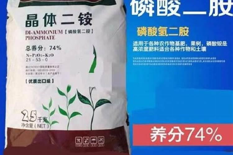 鱼鳞可以做肥料吗