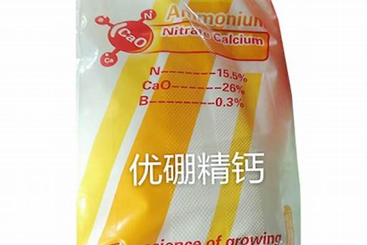 榉树如何施肥
