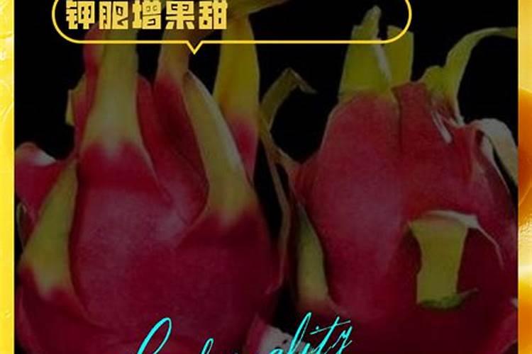 西瓜施什么肥料最甜