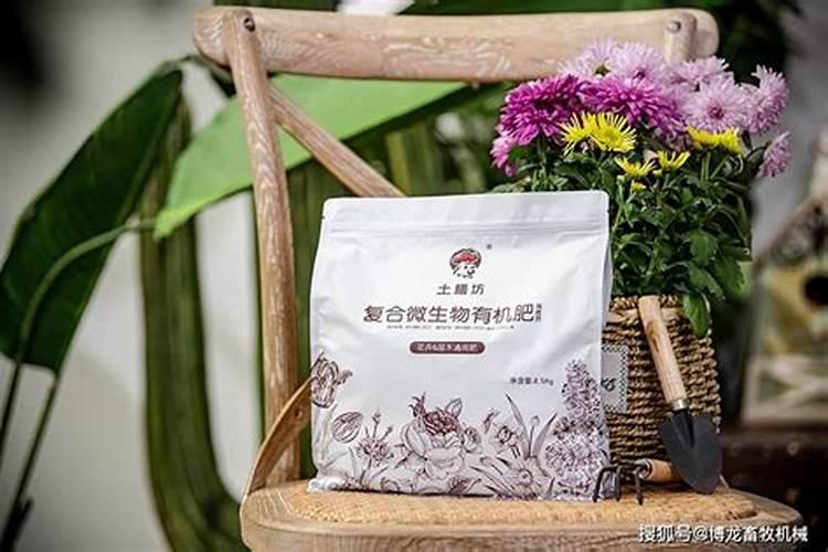 有机肥施肥的最佳时间 有机肥施肥一般在什么时候进行