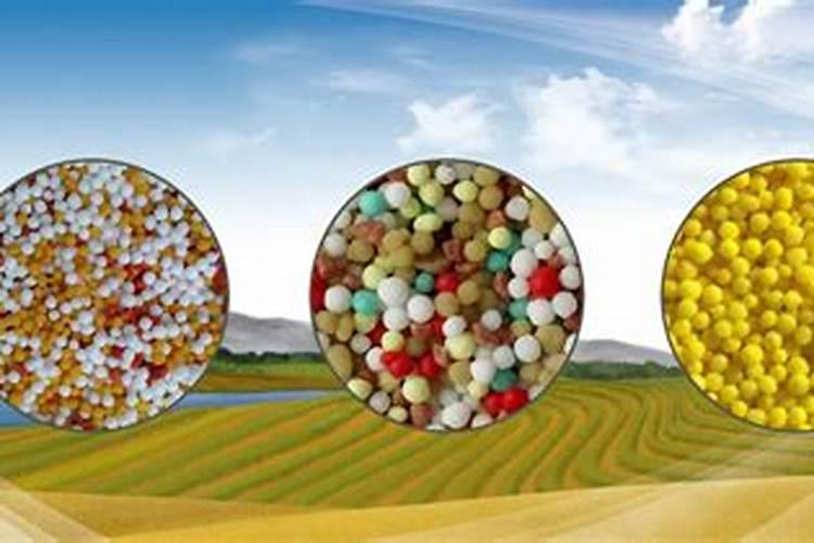 甘露藏药和晶珠藏药哪个好？