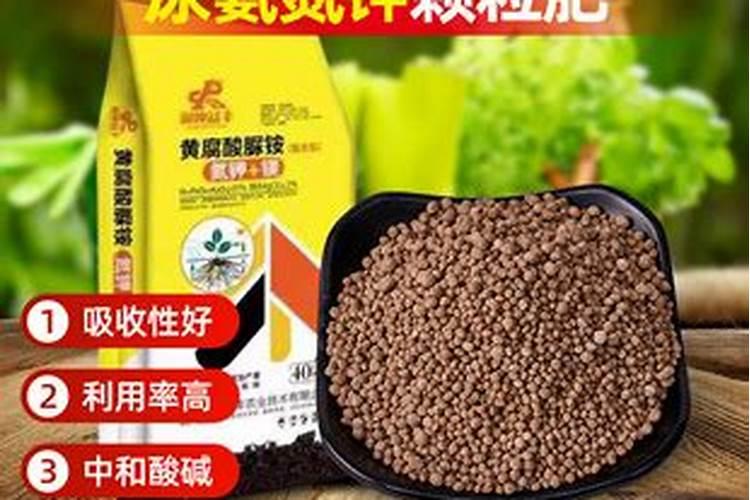 中国最好的肥料前十名