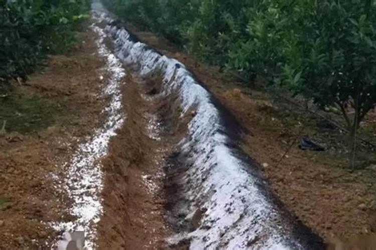 苹果四月份管理方法