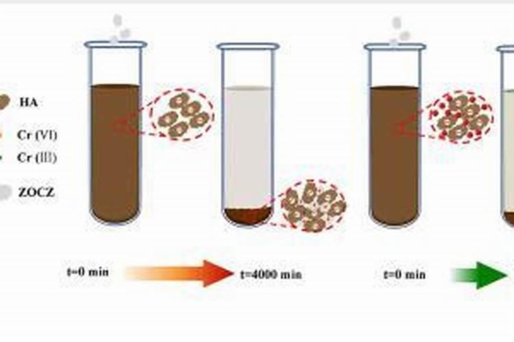 腐殖酸有什么作用