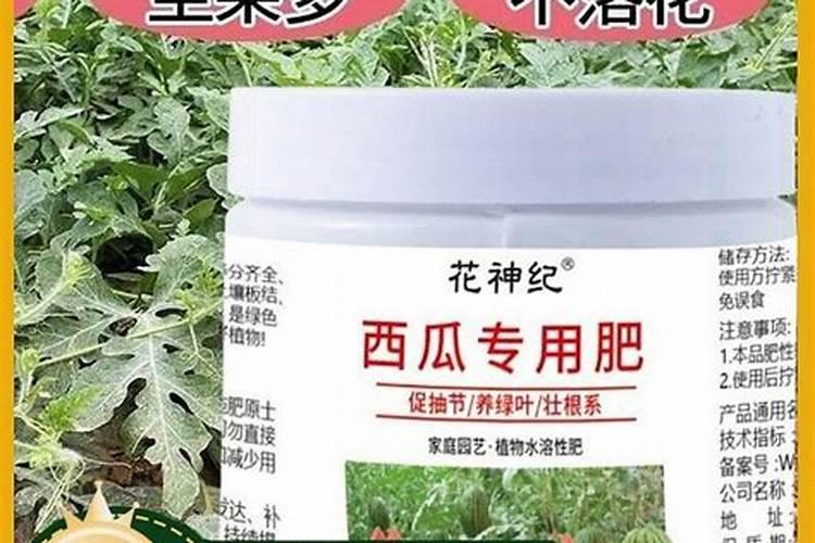 西瓜底肥施肥方案,西瓜施肥的流程和注意事项