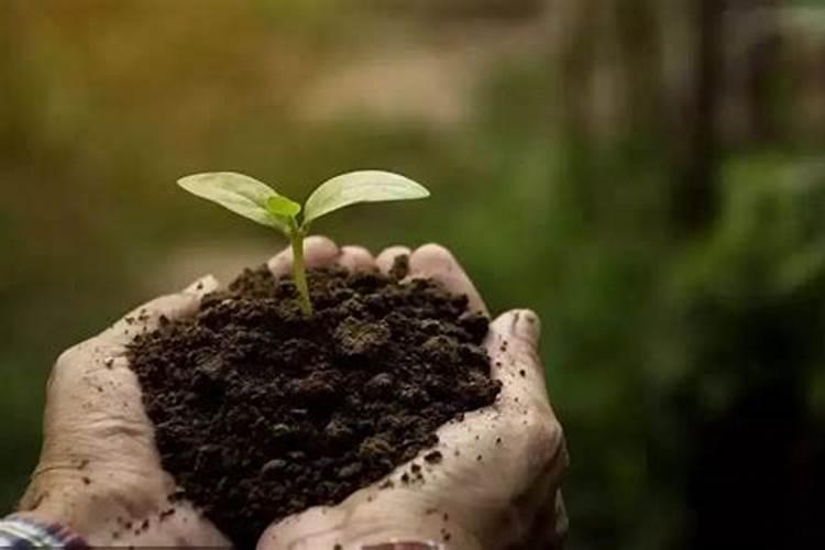 差水的土地是施哪种化肥好