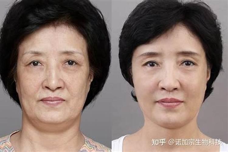 海藻菜的功效与作用