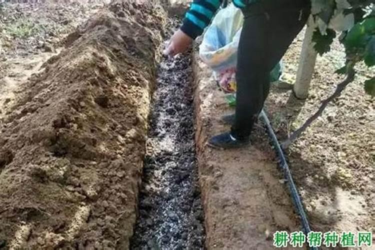 光芒大结局讲了什么