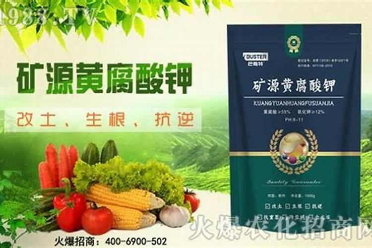 黄腐酸钾的作用和效果有哪些？