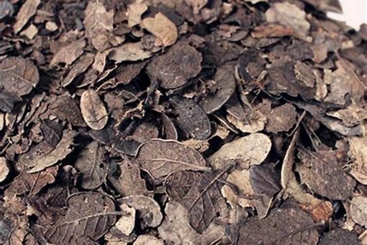 ...就是碱性钾肥,腐烂就变成了酸性肥料,这是为什么？