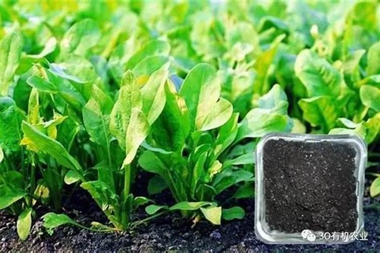 1吨有机肥相当入多少化肥？