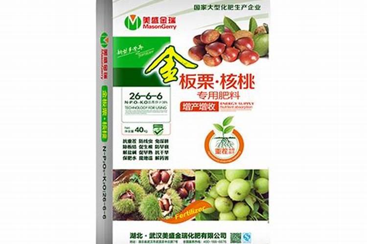 什么是甲壳素？