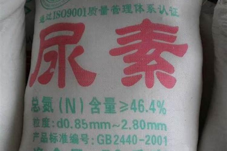 香蕉用尿素提苗怎么施