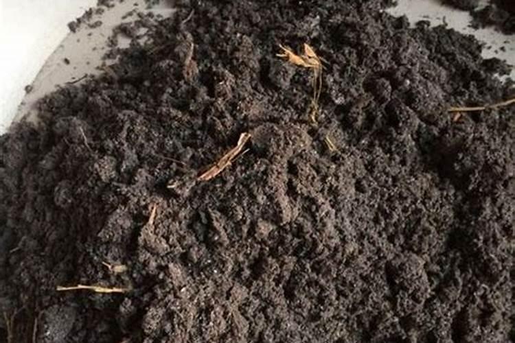 草木灰可以和复合肥一起施肥吗 尿素和草木灰可以一起下吗