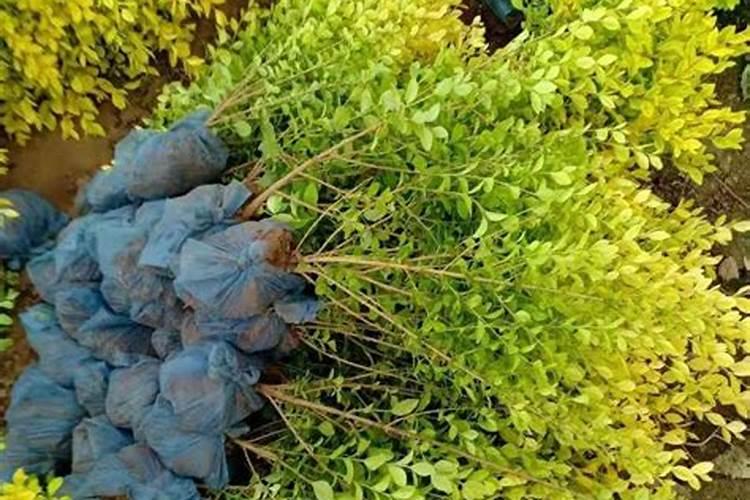 食品中每100g中含有1000多mg钠,那得有多咸