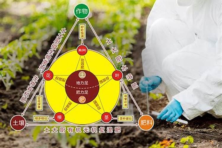 尿素用不用盖土？