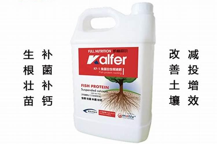 甘蔗拔节期最好使用什么肥