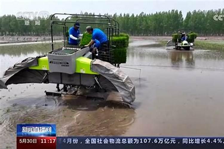 你好我问一下稻田现在喷之外药对水稻苗有影响吗？对客杈有影响吗？