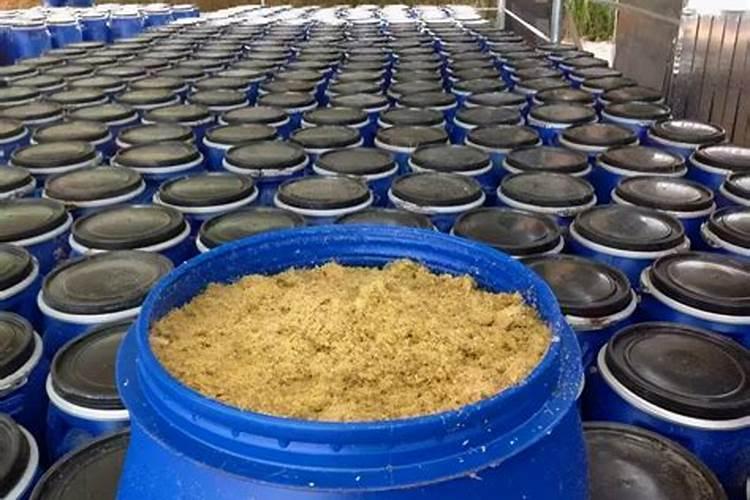 油桃的肥水管理方法有哪些？