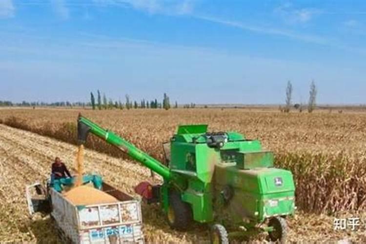 尿素和复合肥可以一起使用吗