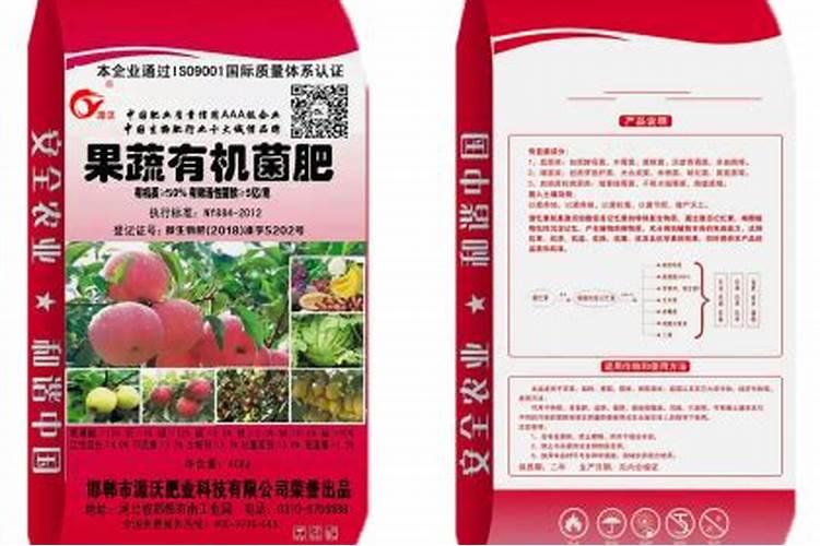 适合丹东地区早秋栽培抗高温且高产的三青莴笋种子推荐