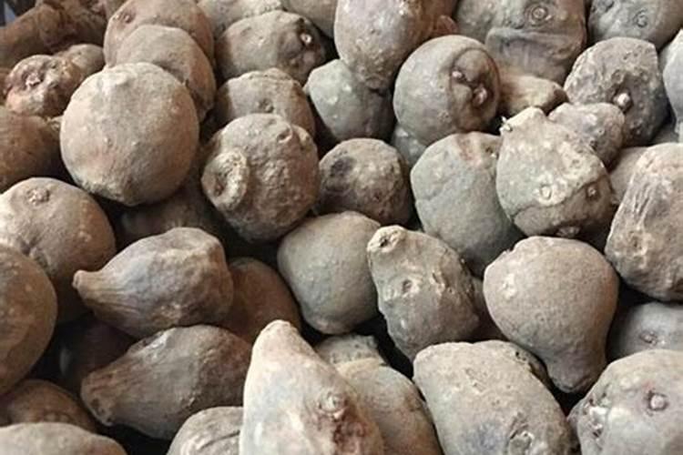 种魔芋用什么肥料