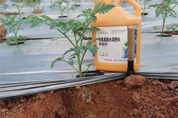 2025年9月9日尿素出厂价是多少钱一吨？