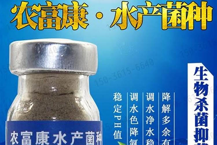 珍珠柏怎么施肥