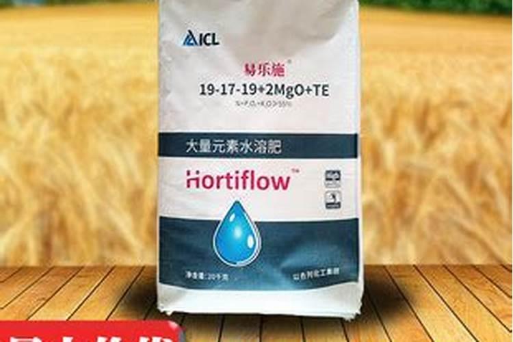 芒果幼果期可以用锐收果香吗