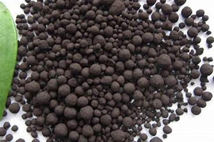 玉米什么时候追施肥最好 玉米追施肥最好的时间