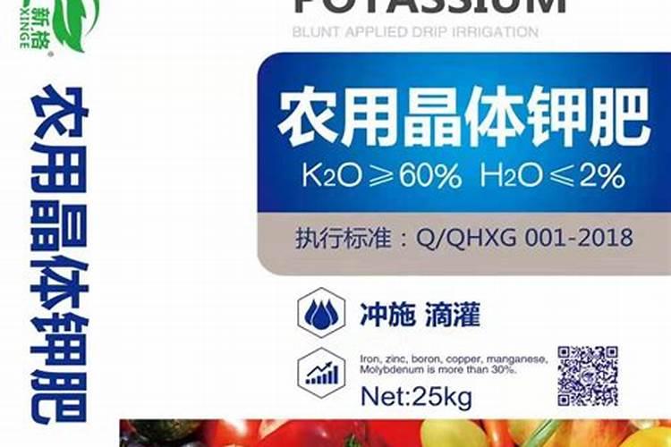 胡萝卜生长管理方法