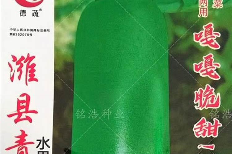 萝卜苗又细又长怎么补救