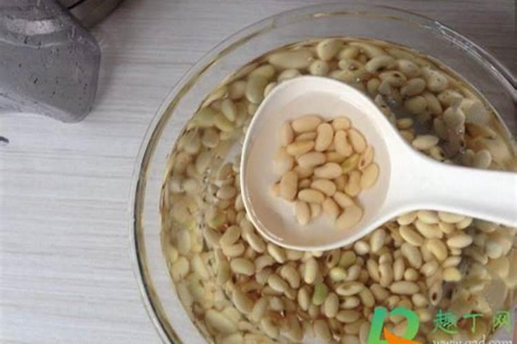 怎么用黄豆做花肥？