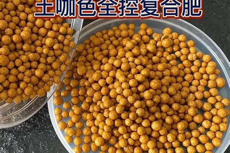 西瓜地可以套种什么作物