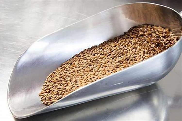 什么水溶肥能促进根系发达？果树如何育苗快速生根？