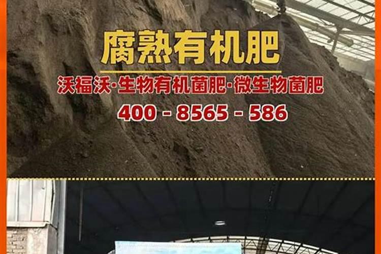 浙江舟山的特产有哪些