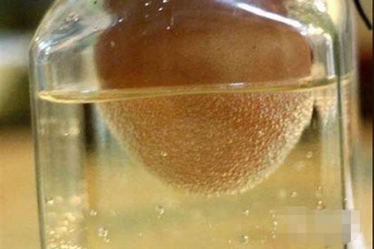 鸡蛋壳能放在花盆里做养花的肥料吗？具体如何操作？要等发酵多久？