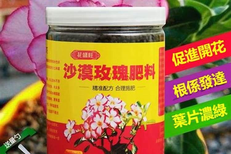 沙漠玫瑰施什么肥比较好