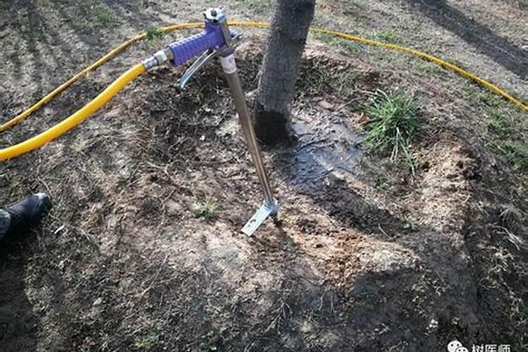 夏季苗木人该做的事情,看完我震惊了!