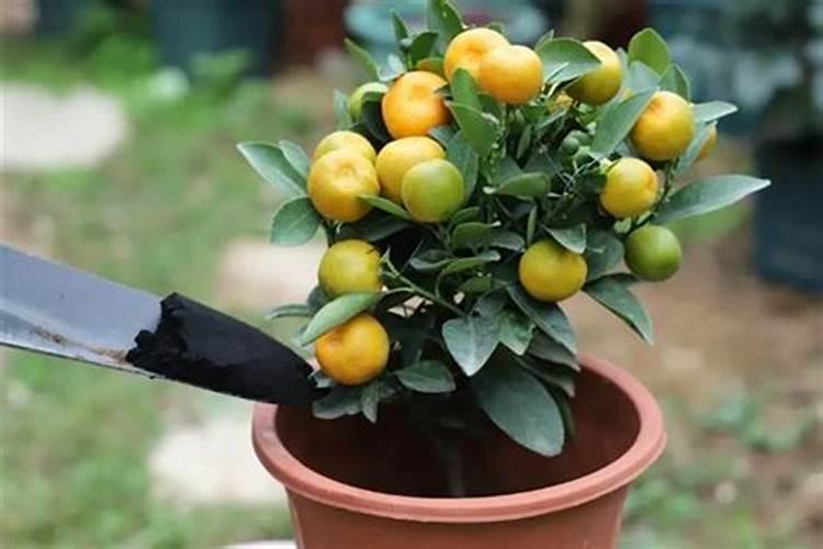 电子烟tvt是什么牌子