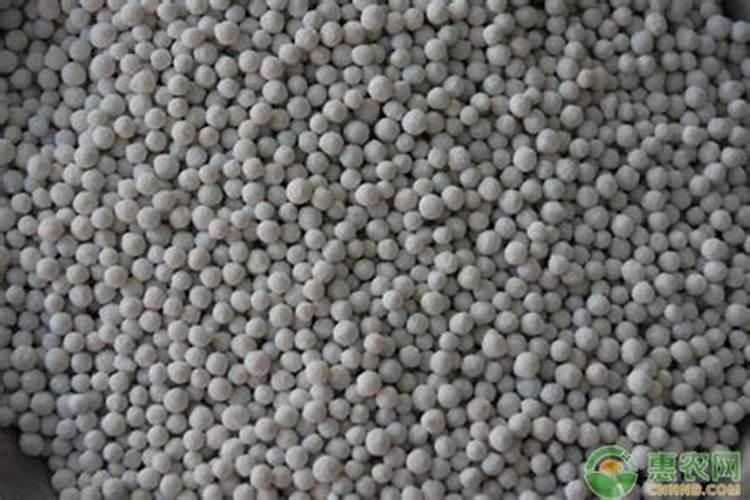 小麦可以用含高氯的复合肥吗 高氯复合肥可以做小麦底肥吗